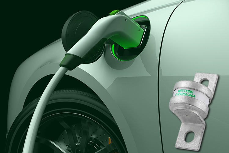 Non dago ibilgailu elektrikoaren fusiblea?