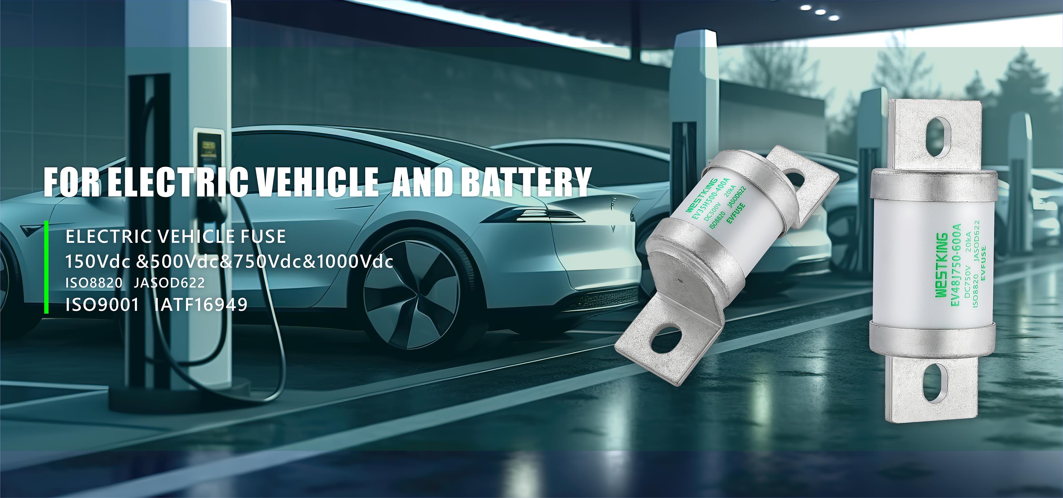 EV FUSE Ibilgailu Elektrikorako eta Baterien Fabriketarako